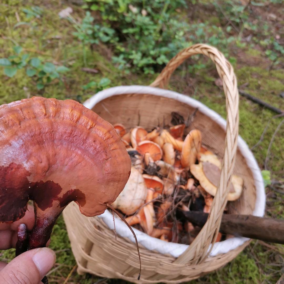 一秋