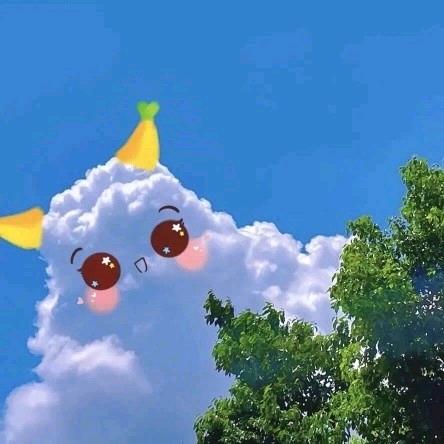 美丽一天