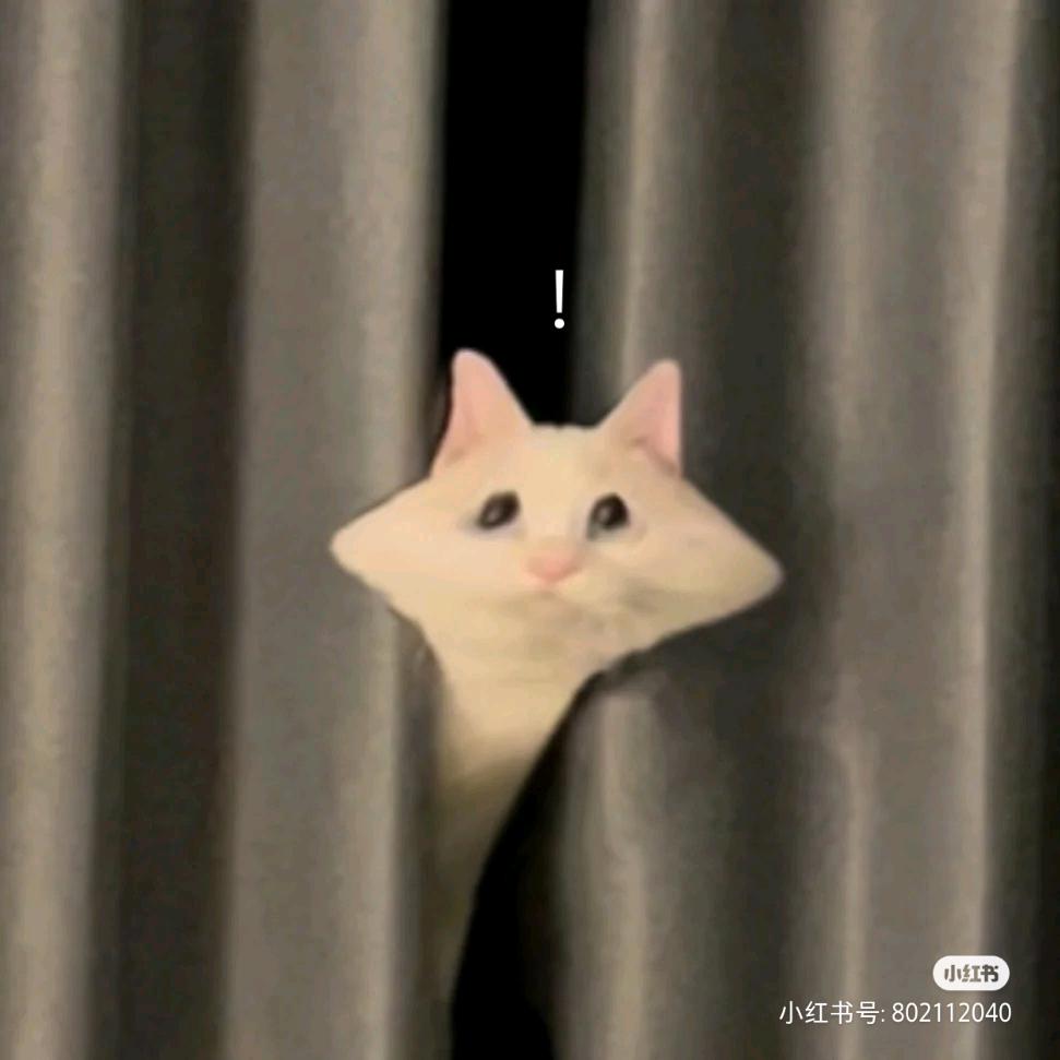 吃吃吃吃算了不吃了