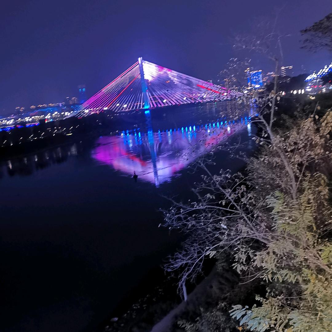 紫色世界