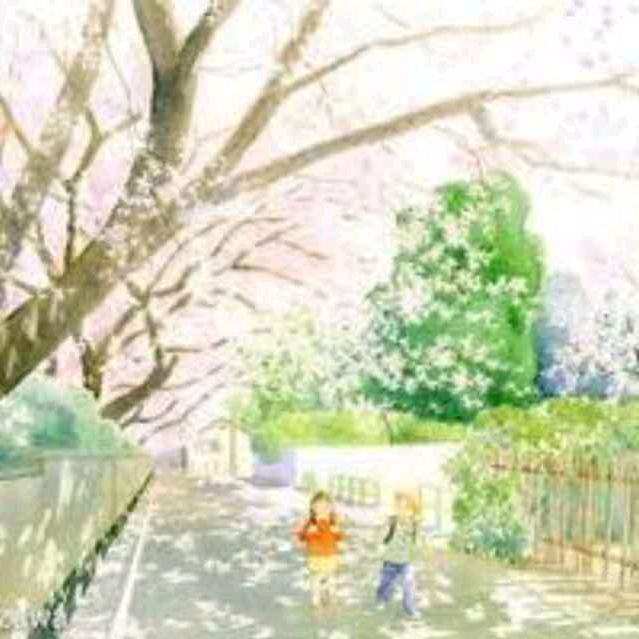 曹木匠