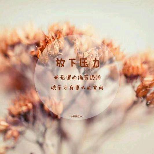 宁静致远