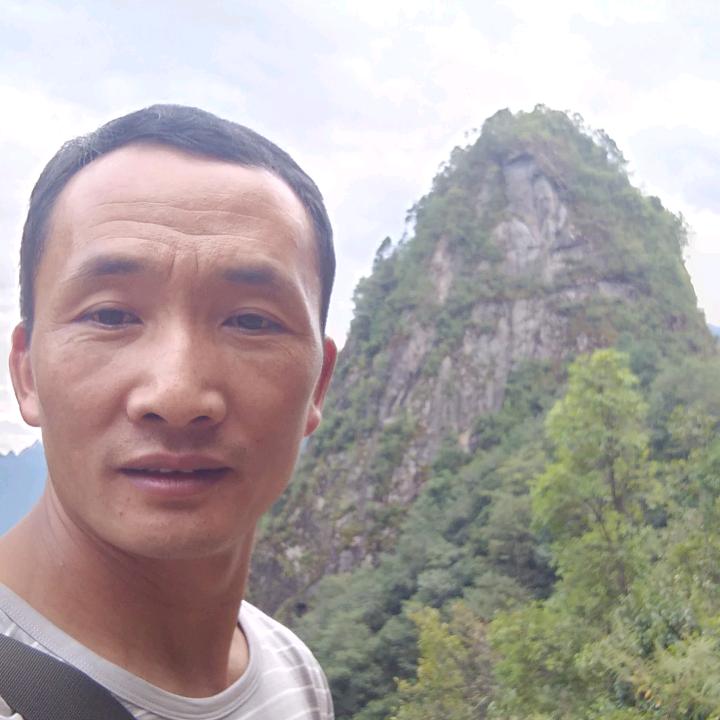 微小的肢体