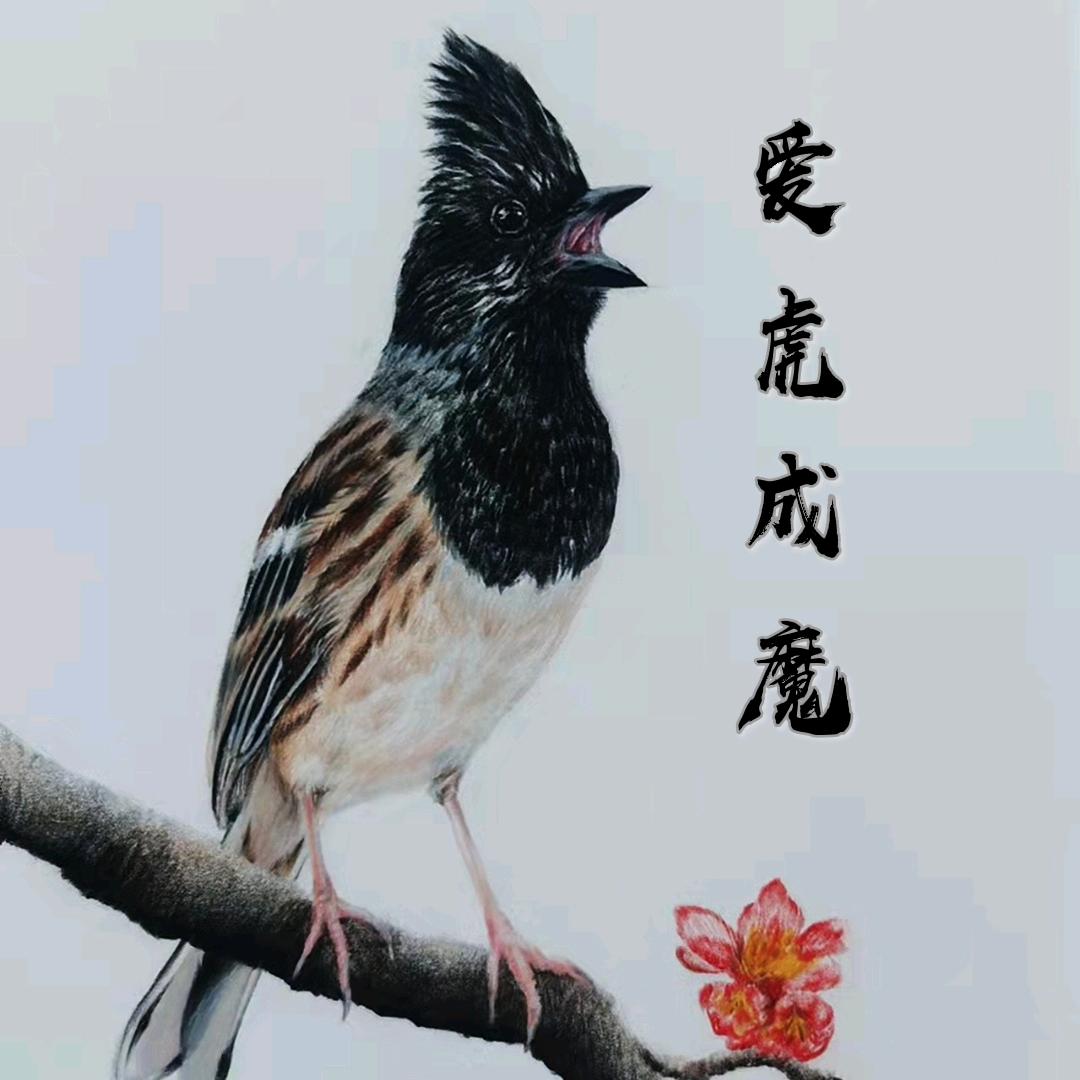 爱虎成魔