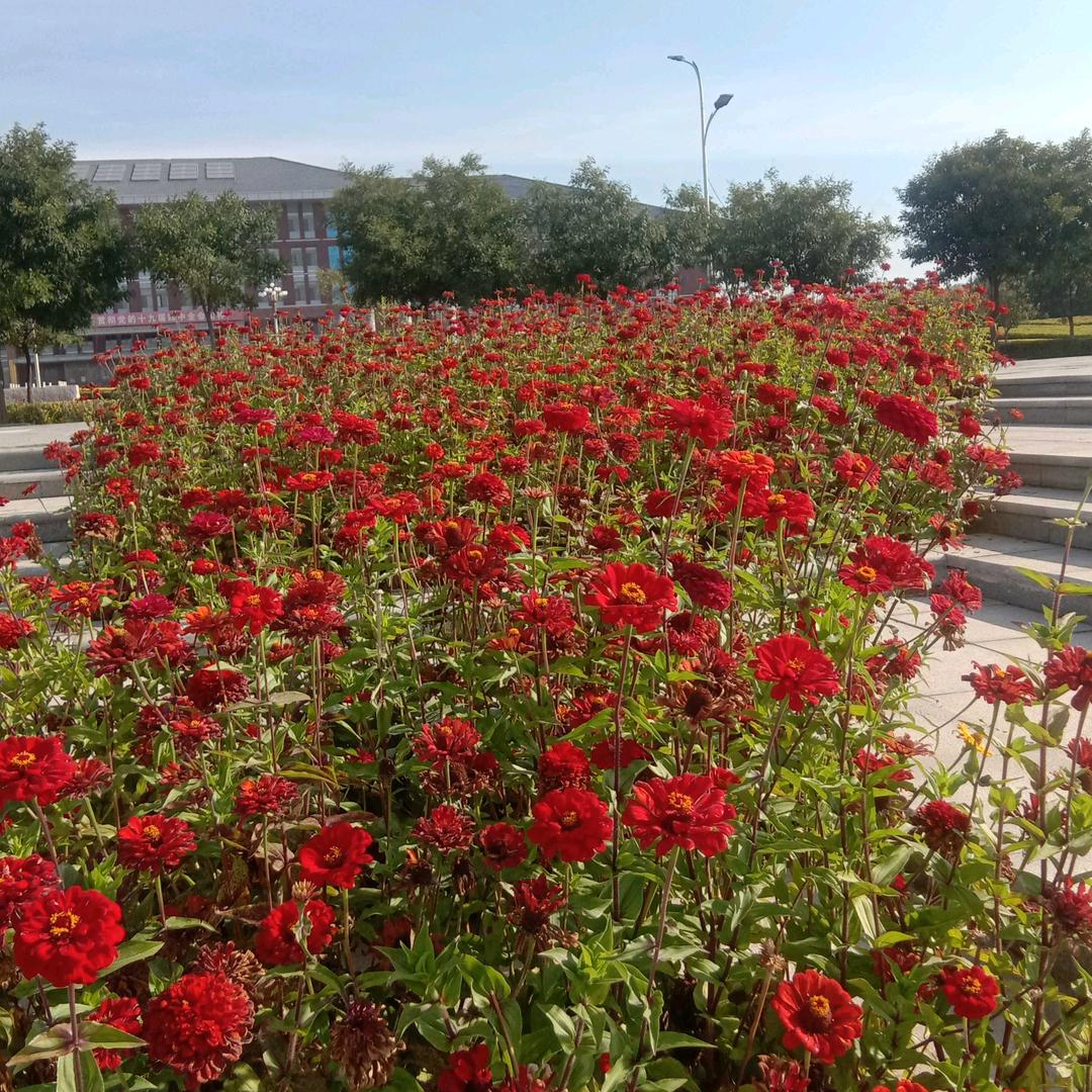 泸州合江榕山农村人
