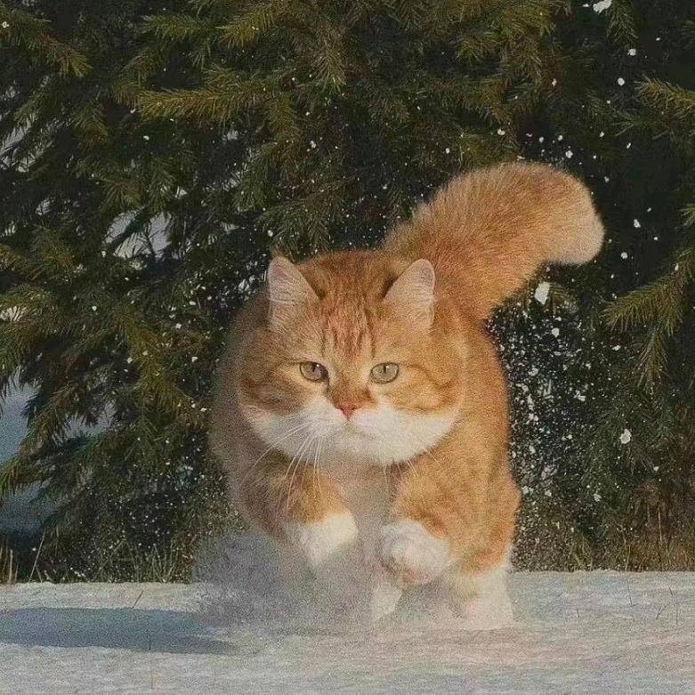 最可爱的双下巴