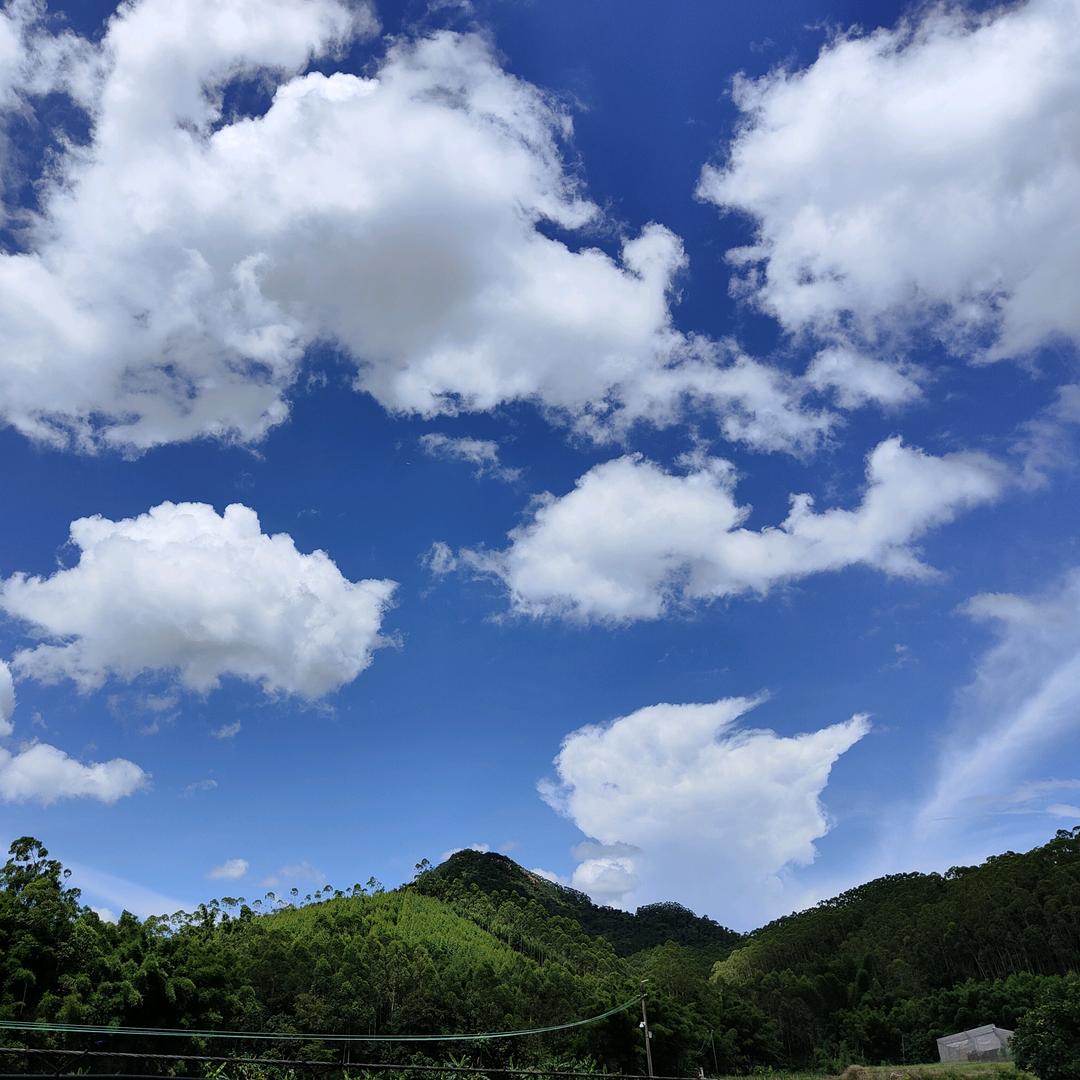佛山市高明区杨和镇天睿饮食店（莫生）