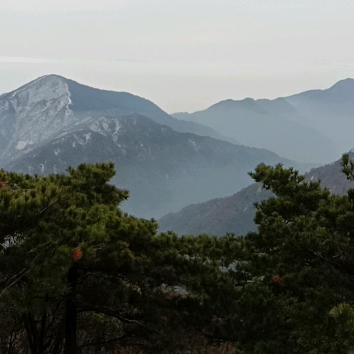 勇敢的心
