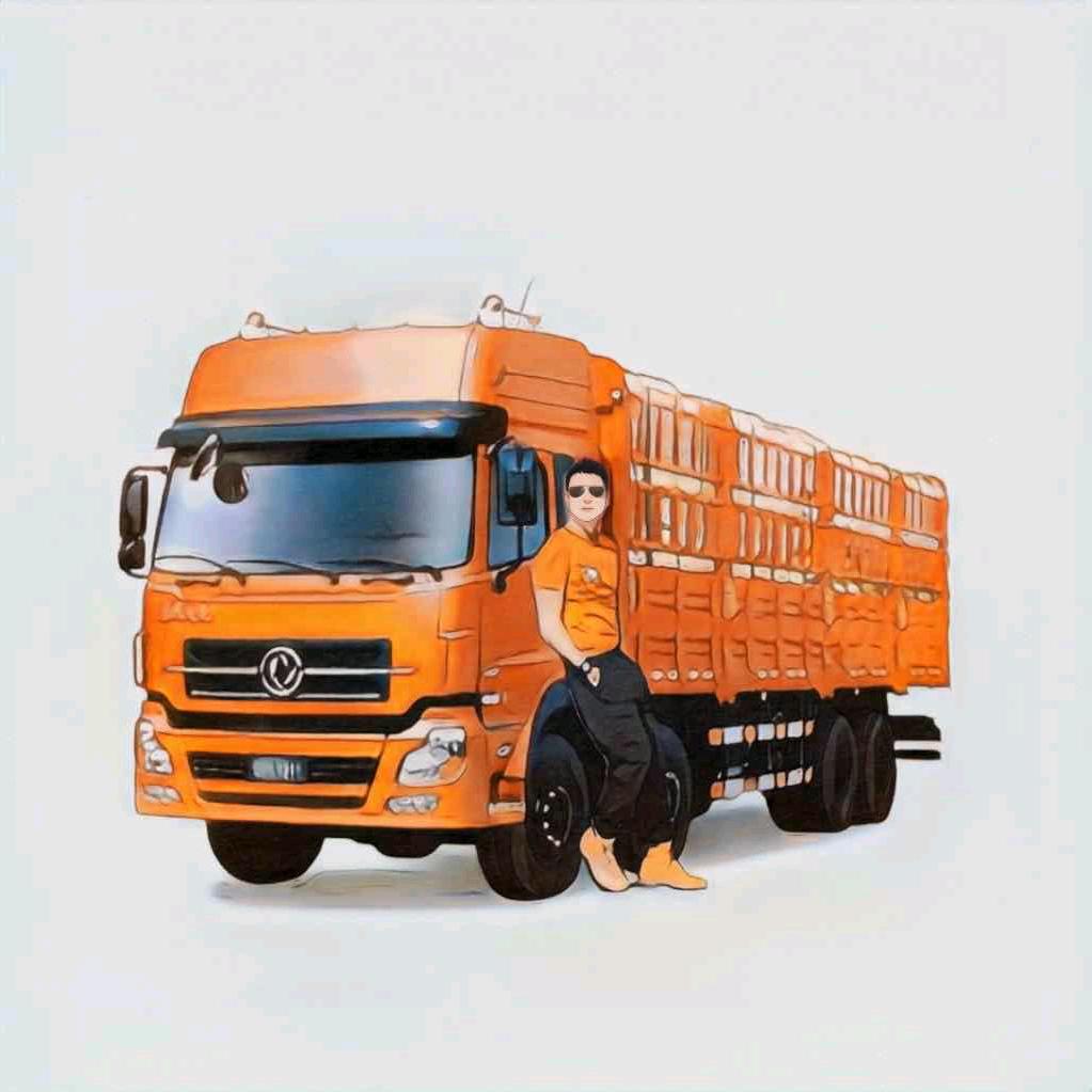 陕E🚚货运中国🚚(9666)