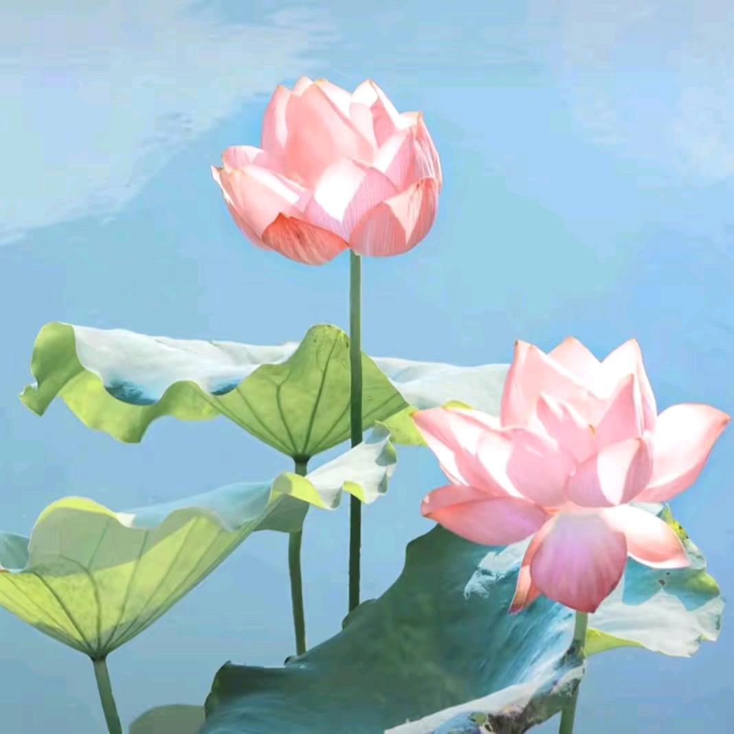 于你