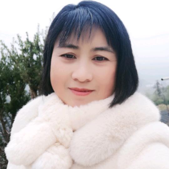 无声的雨