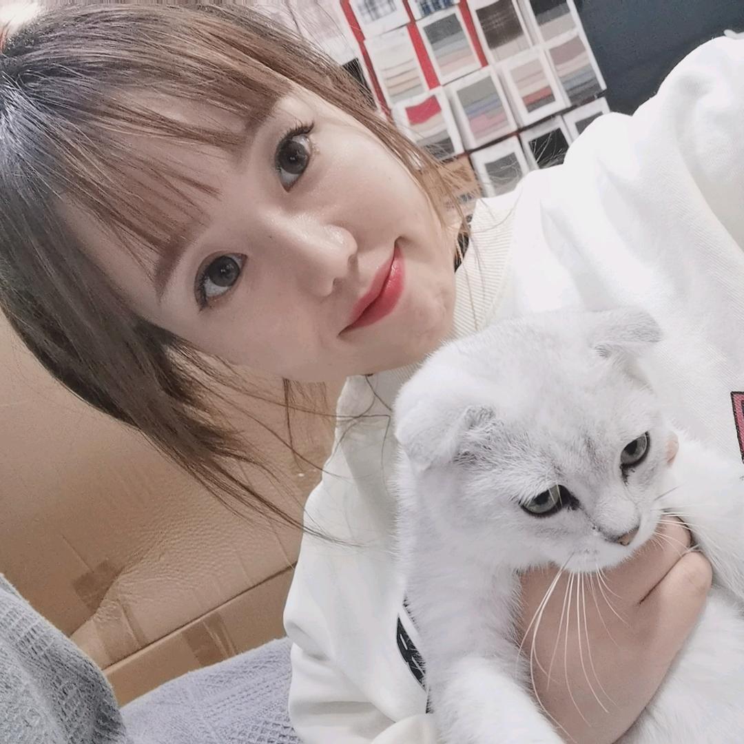 小顾