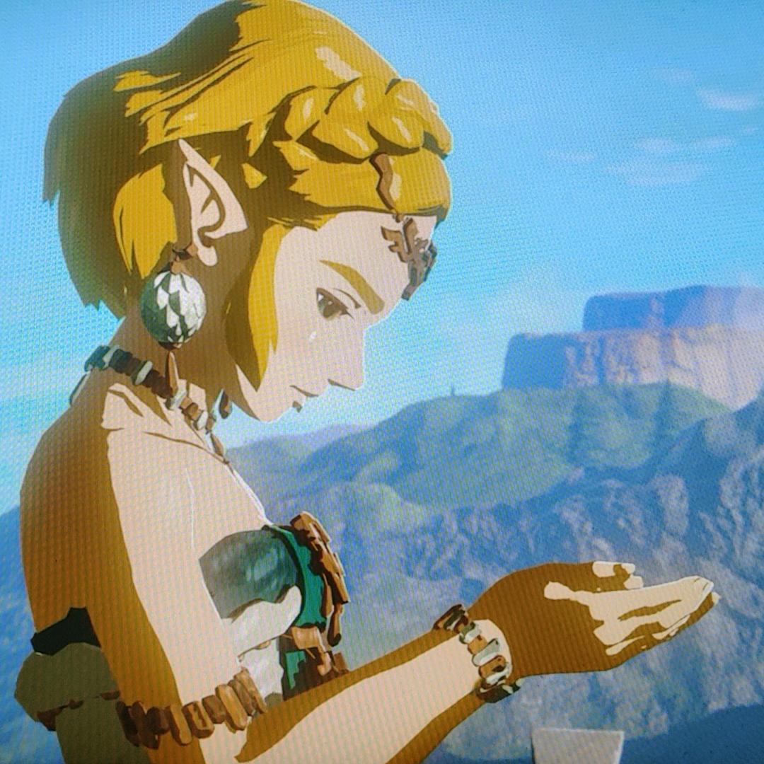 迪妮莎的微笑