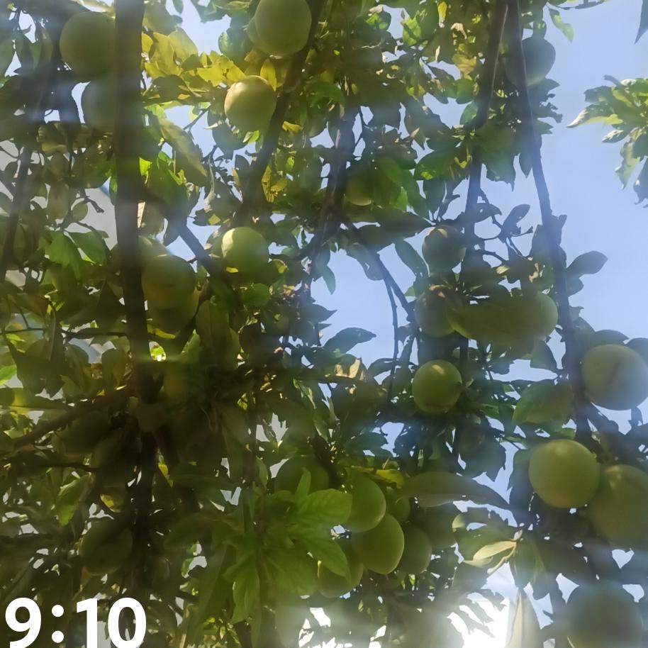 用户846378159040生活越来越好