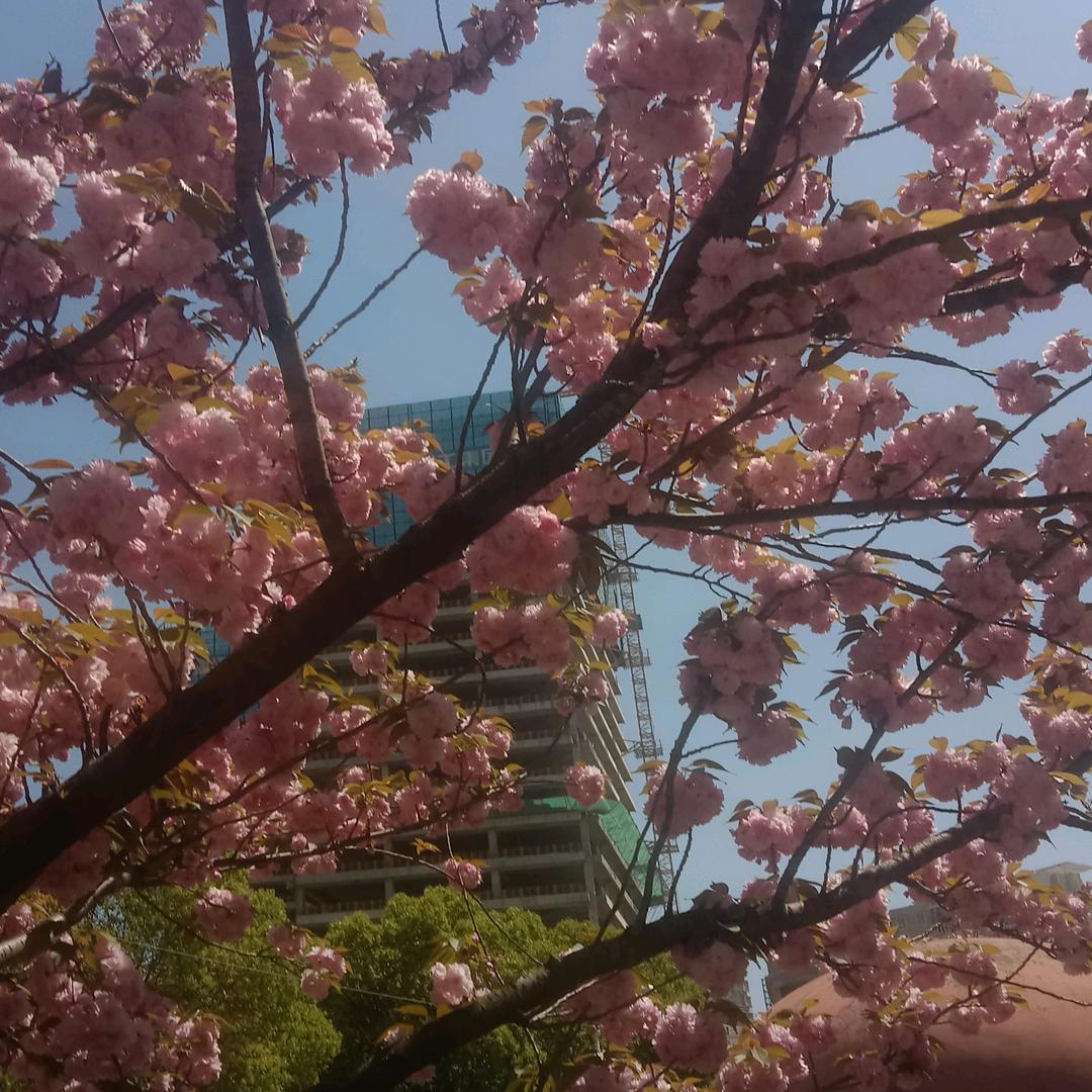 用户568138838541山大王