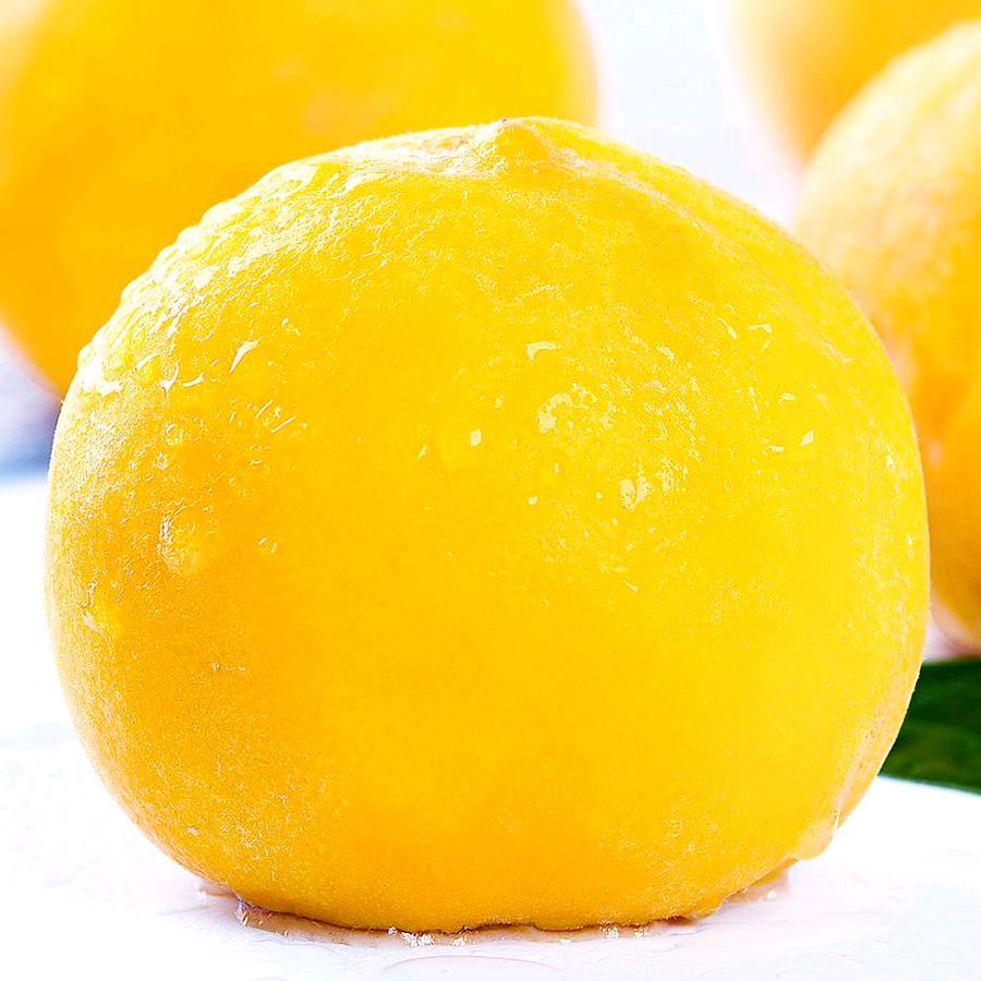 时间最珍贵的垃圾