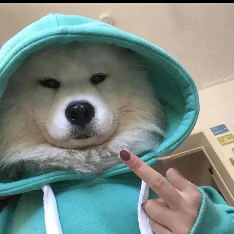 忠厚老实的阿牛