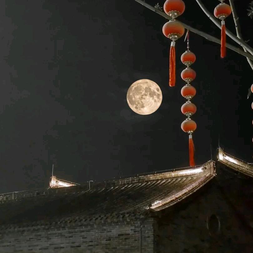 卡罗某某