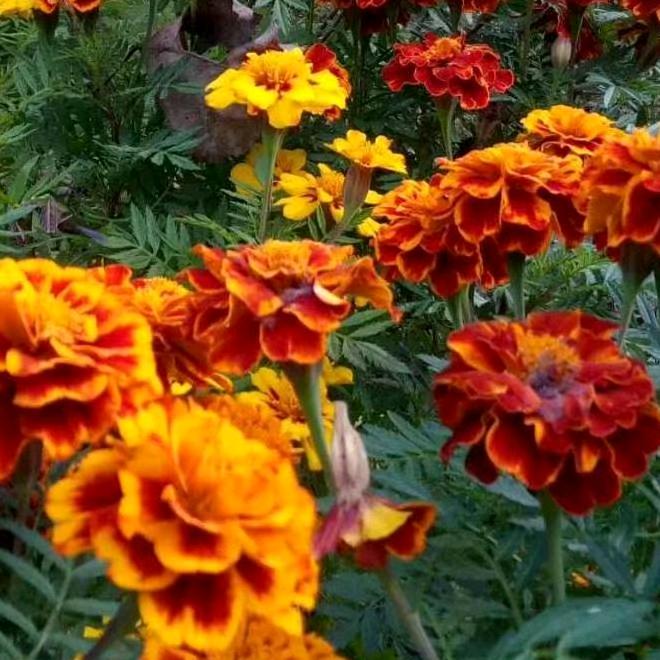 幸福的每一天😊