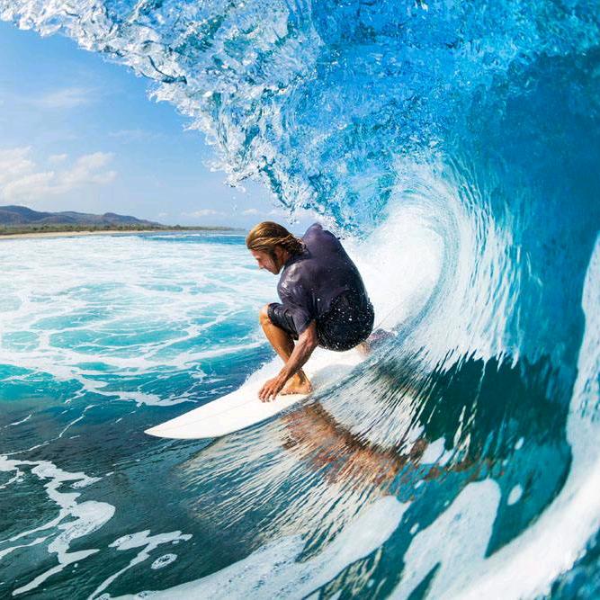 Z路亚🎣多巴胺🐟