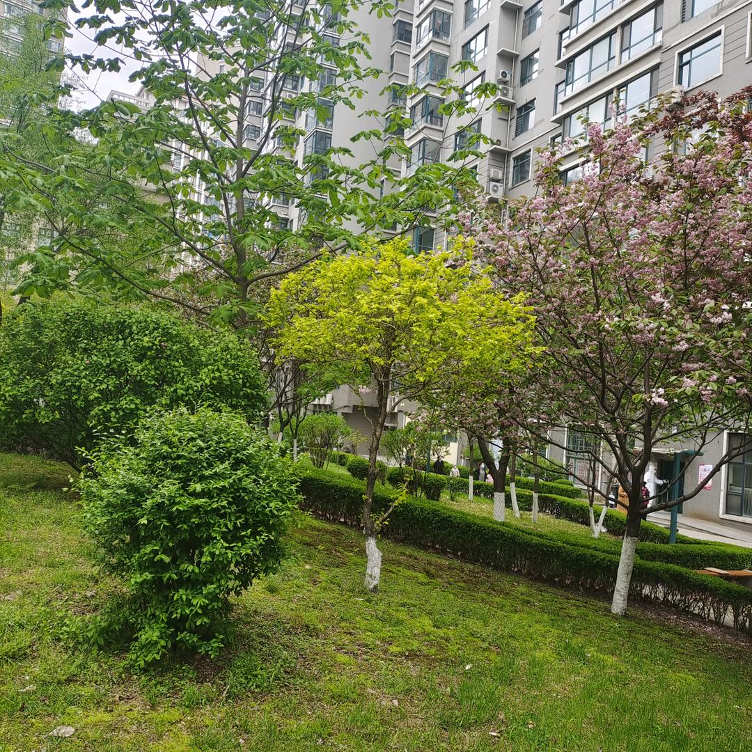 秋天