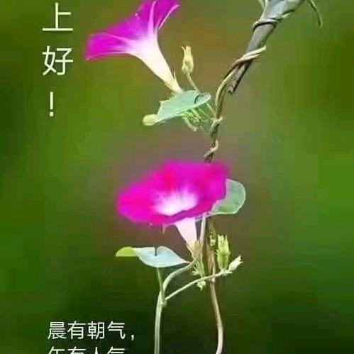 春暖花开