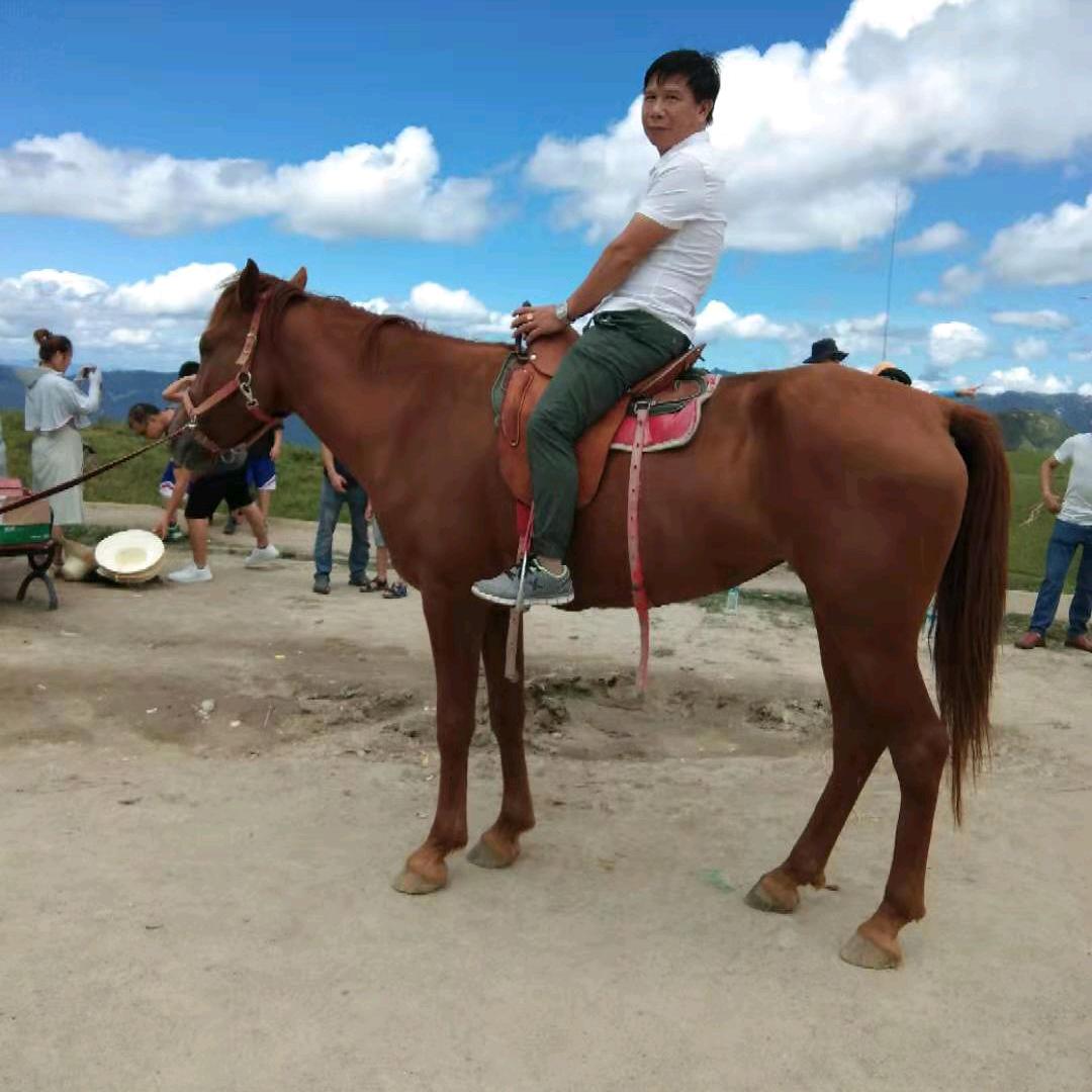 万顺客家山歌（不定时值播）