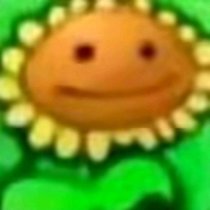 向日葵的花语