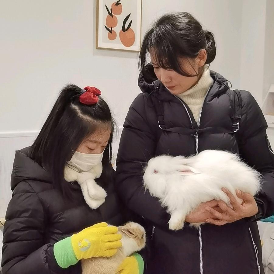 普罗旺斯的下午茶
