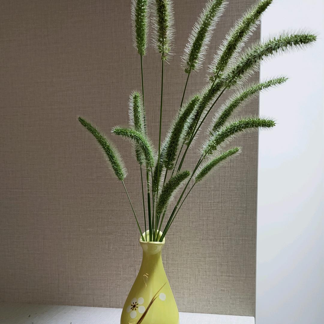 ✧暧心向阳✧