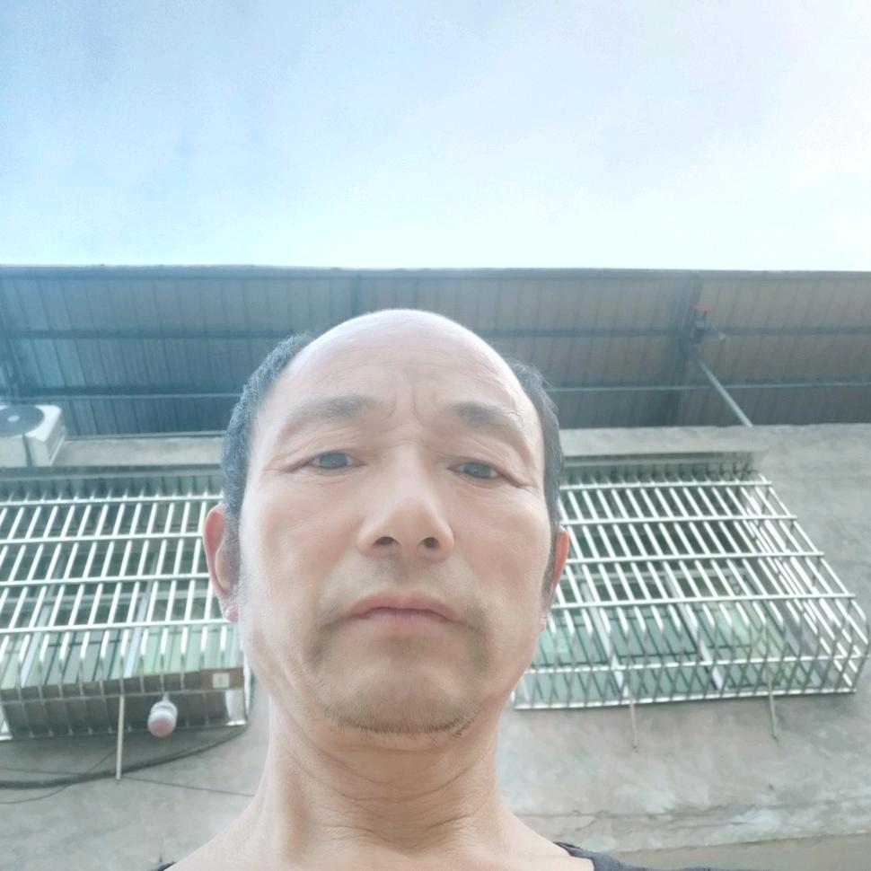 段国辉
