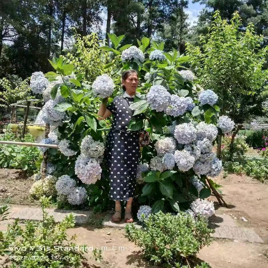 平凡的妈妈
