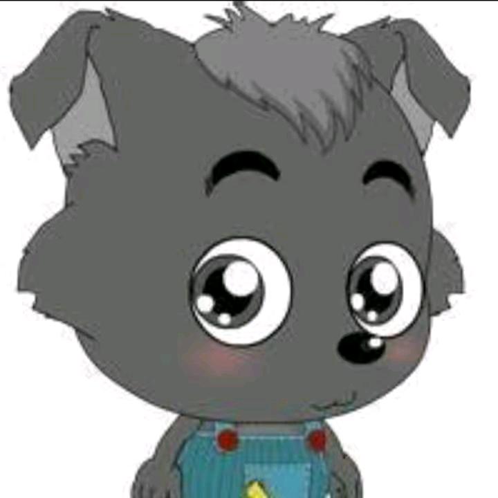 💍👒刘正曦🍃🌴