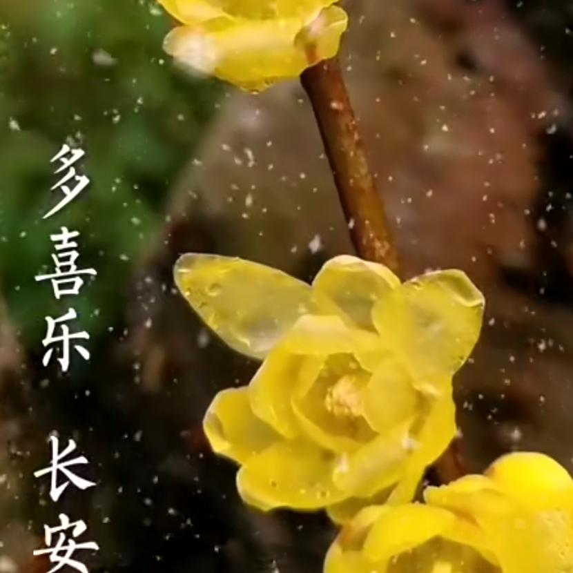 欢喜一生