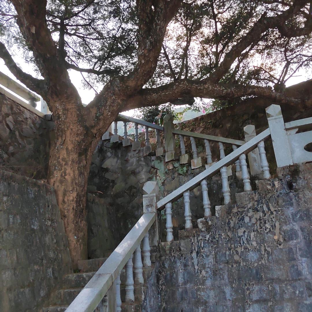 仙香御林