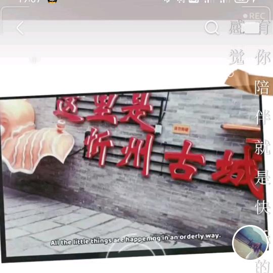 壳壳