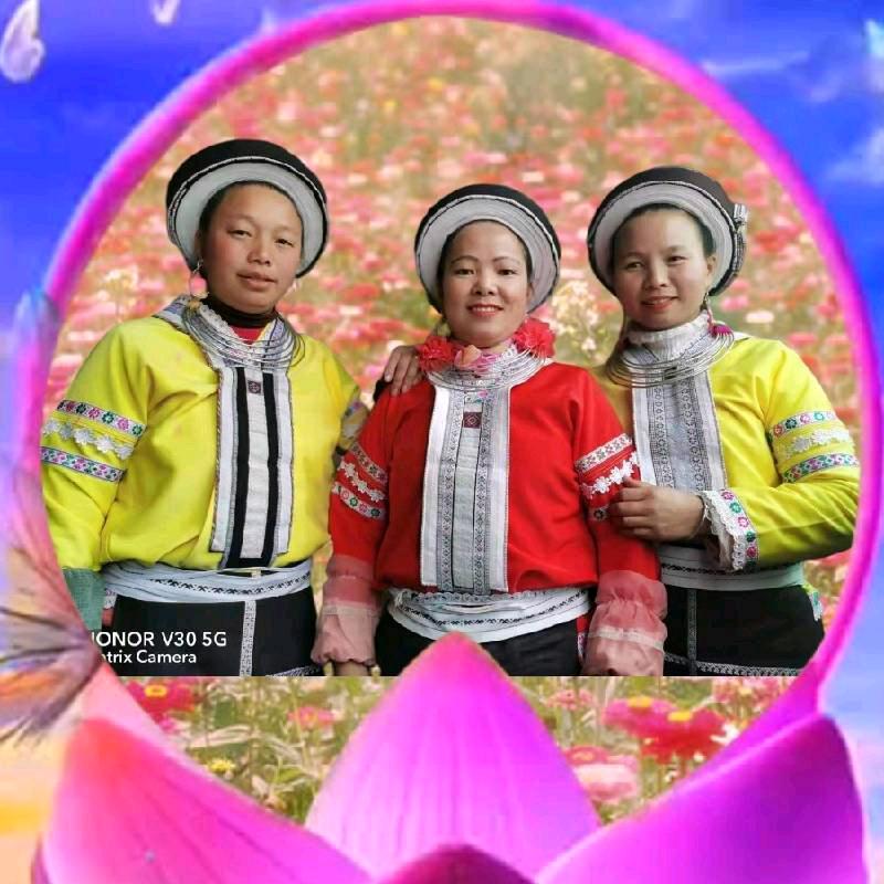 🌷苗🌺乡🌹美💐