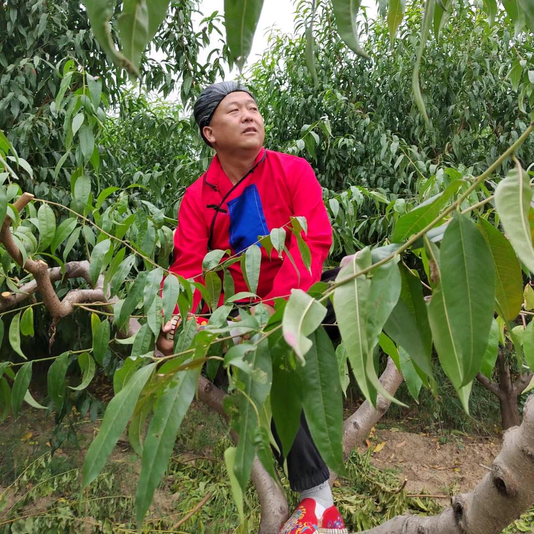 假嫂子短剧