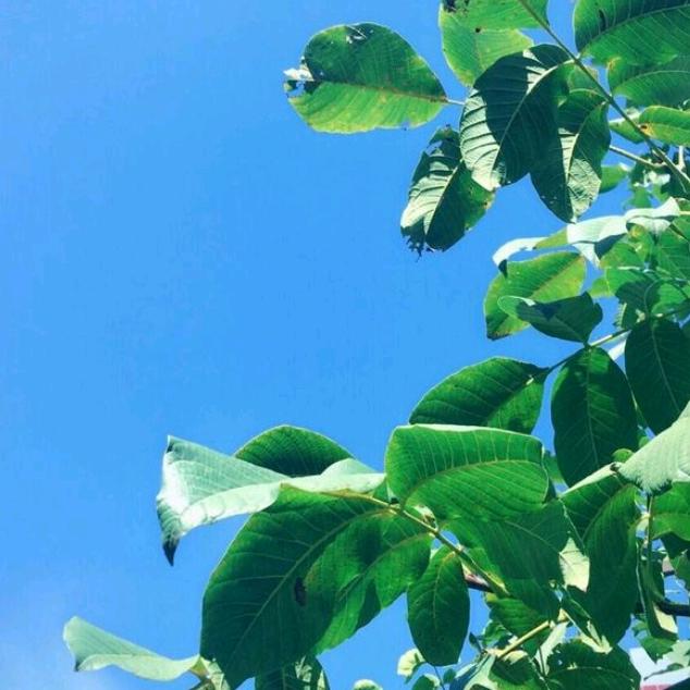天间彩虹