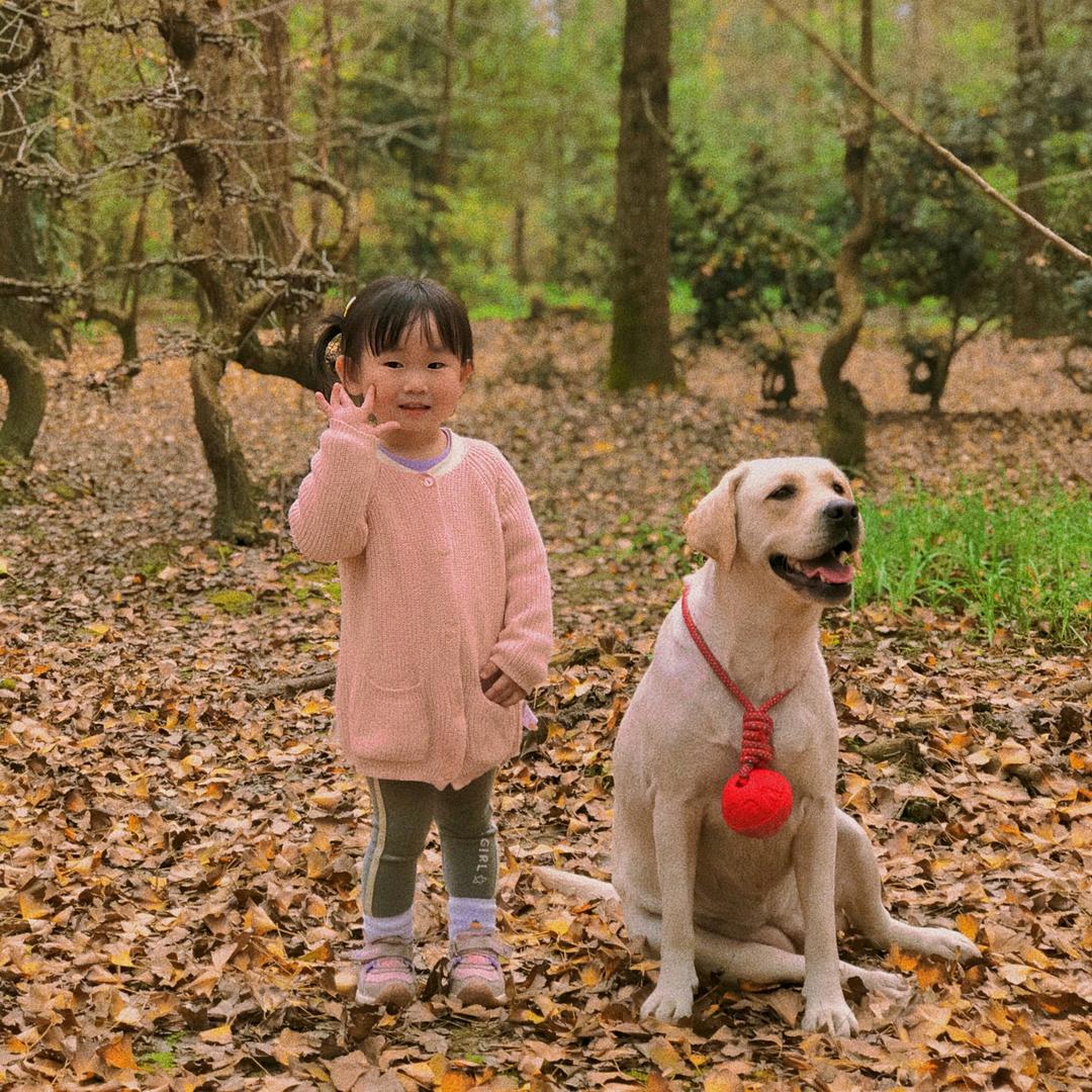 你好，燕小姐