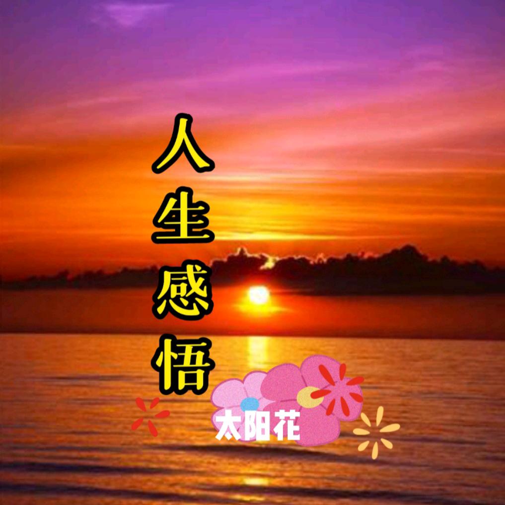 人生感悟（太阳花）