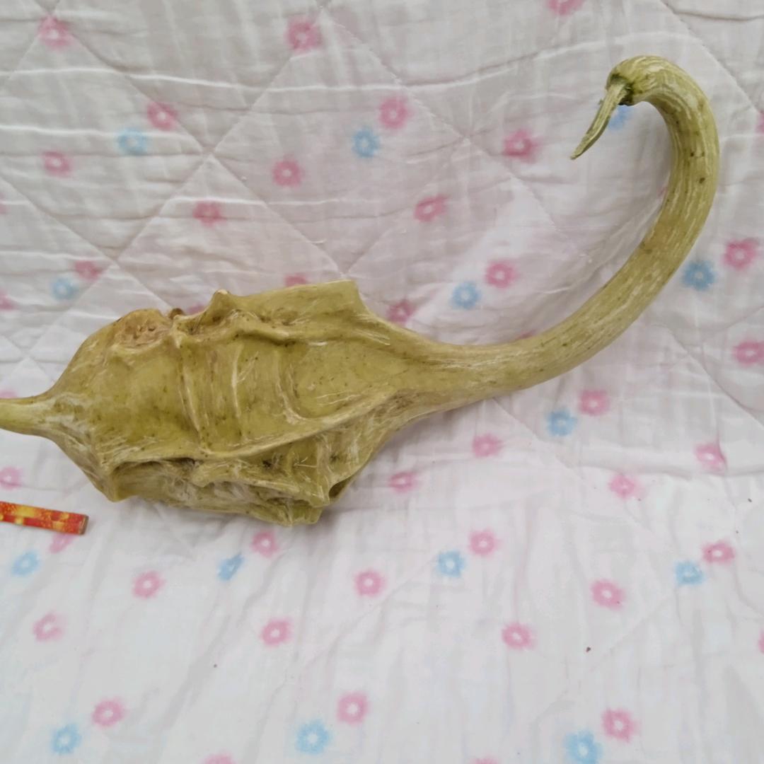 六指大叔