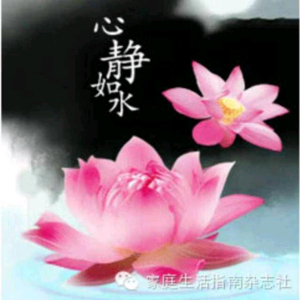 智者