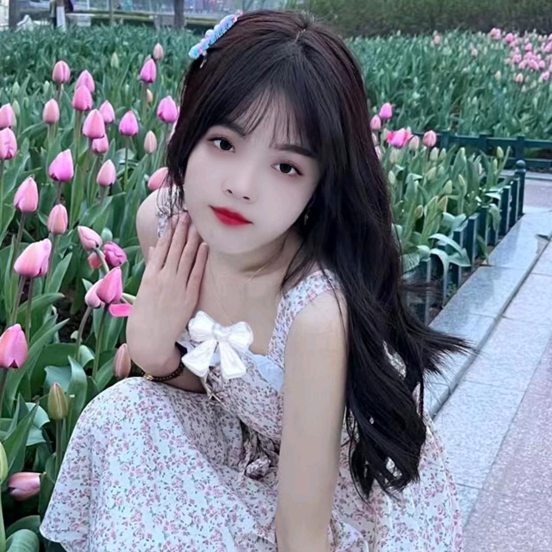 清风与自由