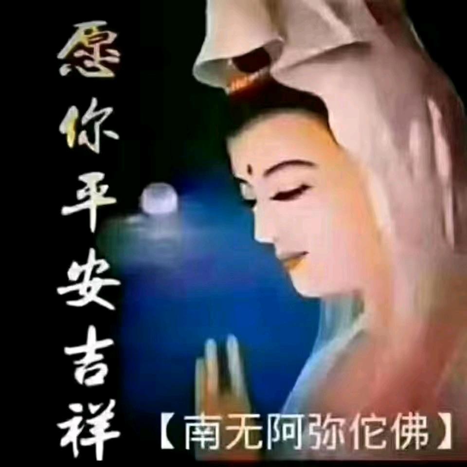 开悟！！！驾校招生