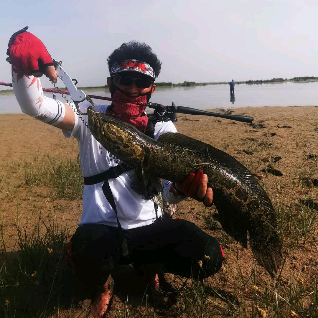 李飞