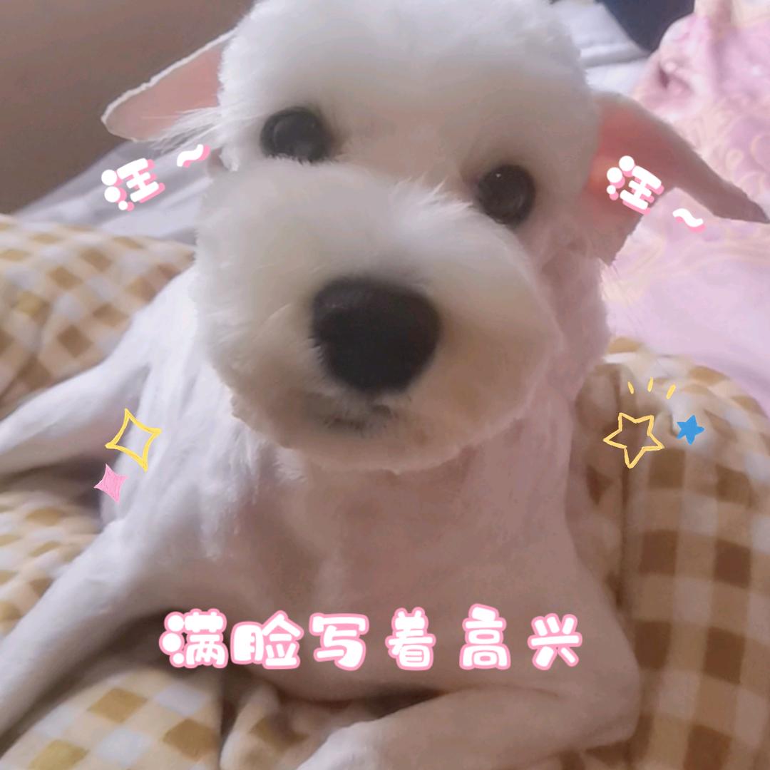 🌺🌺布丁麻麻🌺🌺