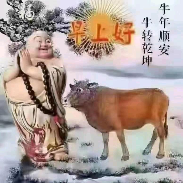 周娅萱