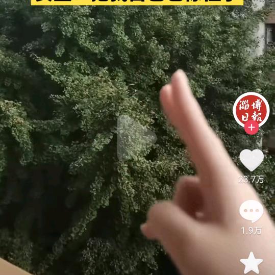 改不了根本