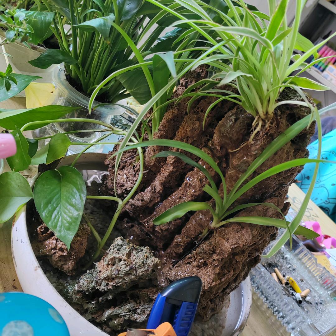 好人有好报
